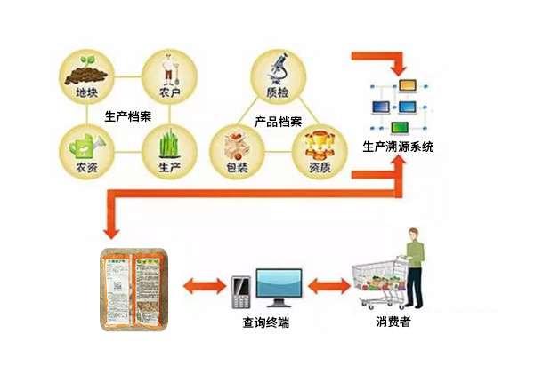 PG电子(中国)官方网站